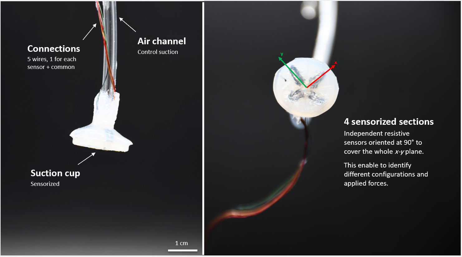 Sensorized octopus-inspired suction cup